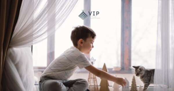 tela-mosquiteira-janela-seguranca